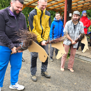 Celý článek: Koně 2025